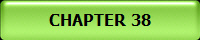 CHAPTER 38