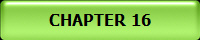 CHAPTER 16